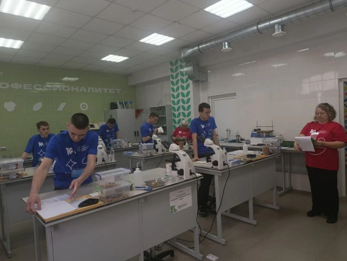 �������� ���������������� ��� ������� ���������� �� X ������������ ���������� �����������-2026�