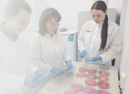 ������ ����� �������� ������� ������� ��������