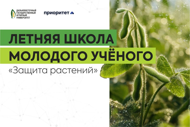 � ��������������� ��� ������ ������ ����� �������� ������� ������� ��������