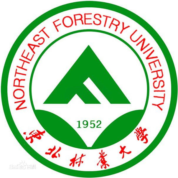 Северо-восточный университет лесного хозяйства.jpg
